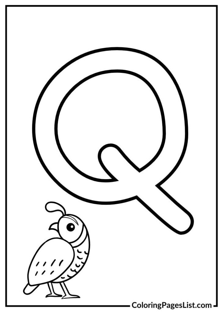 Q letter with quail