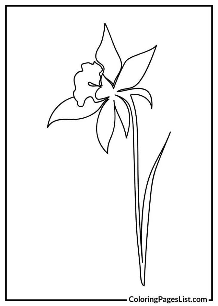 Beautiful Daffodil coloring page for kids