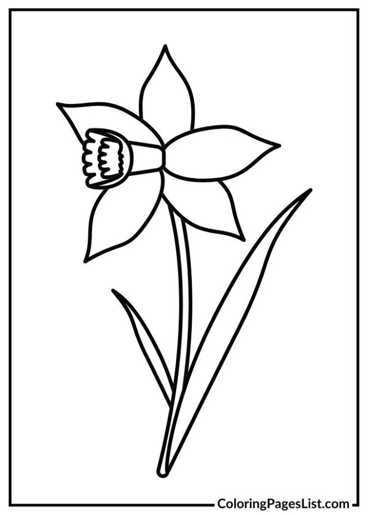 Hand drawn Daffodil coloring page