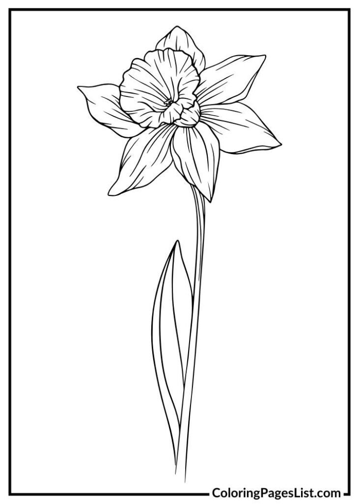 Unique Daffodil flower coloring page