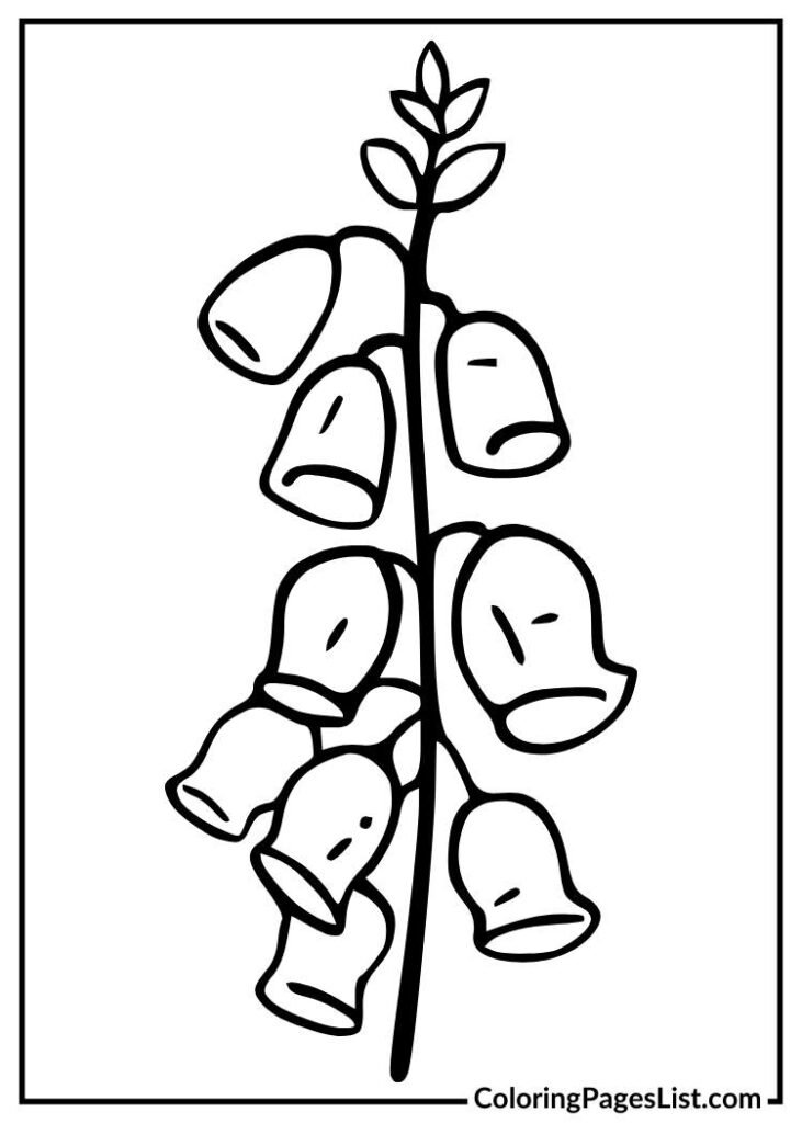 Foxglove coloring page