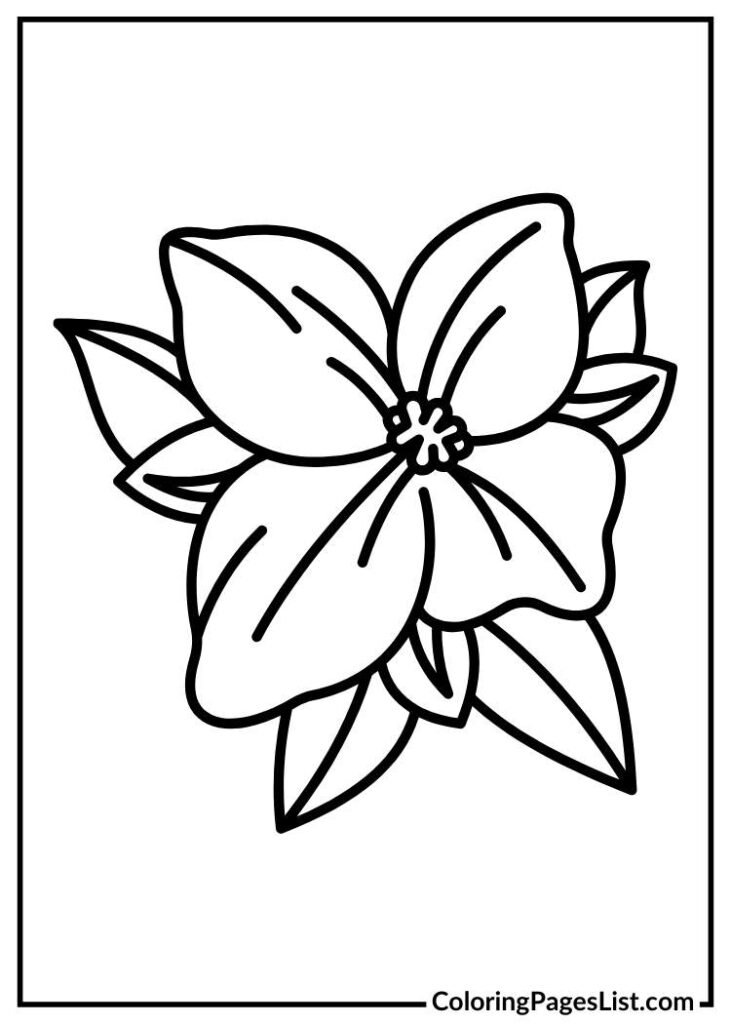 Jasmine flower with simple lines