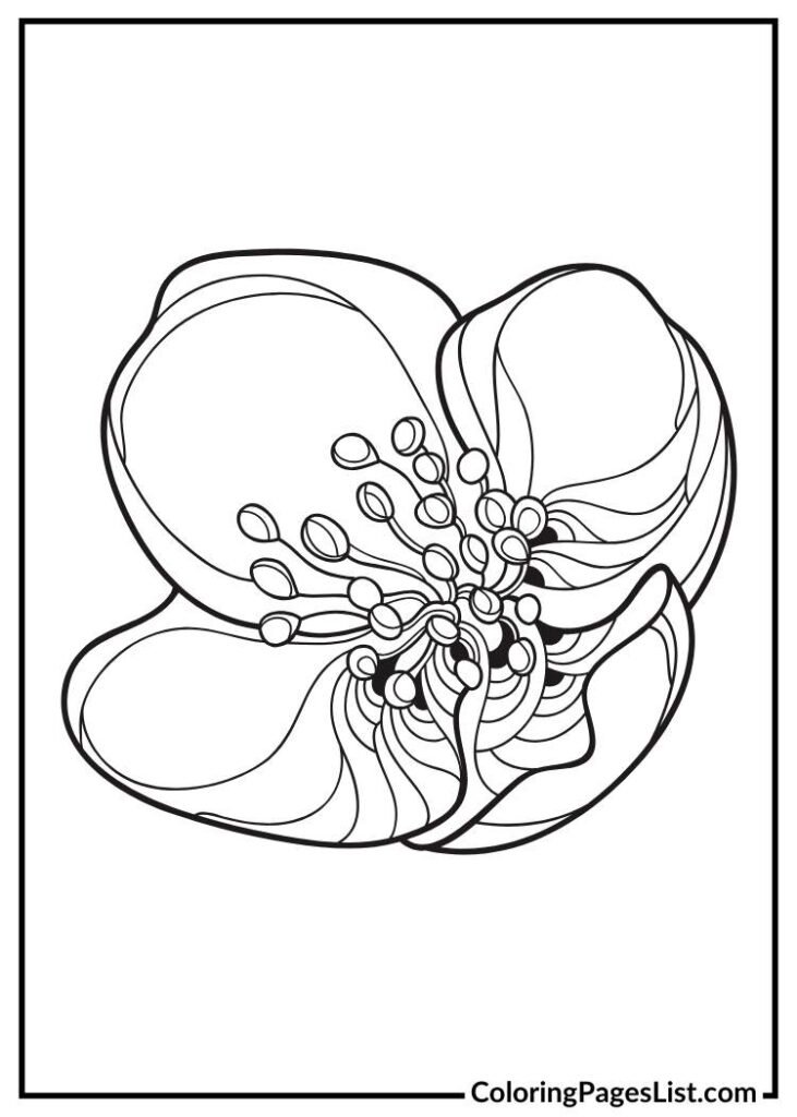 Jasmine Illustration coloring page