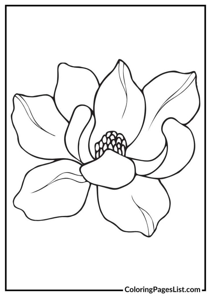 Simple Magnolia coloring page