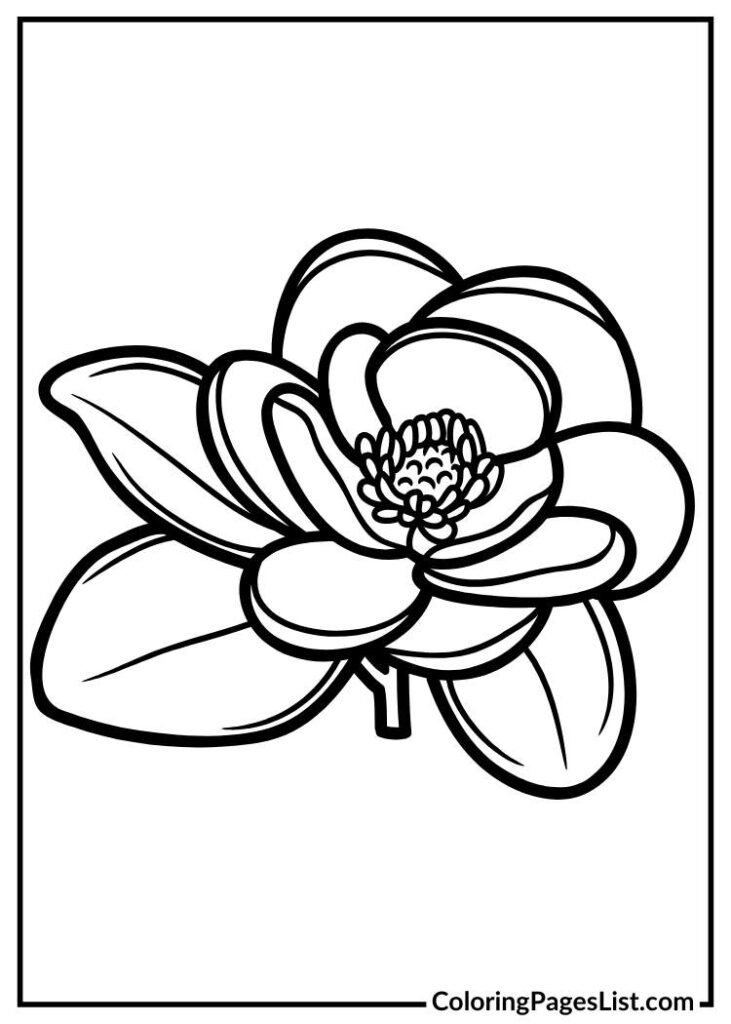 Magnolia coloring sheet