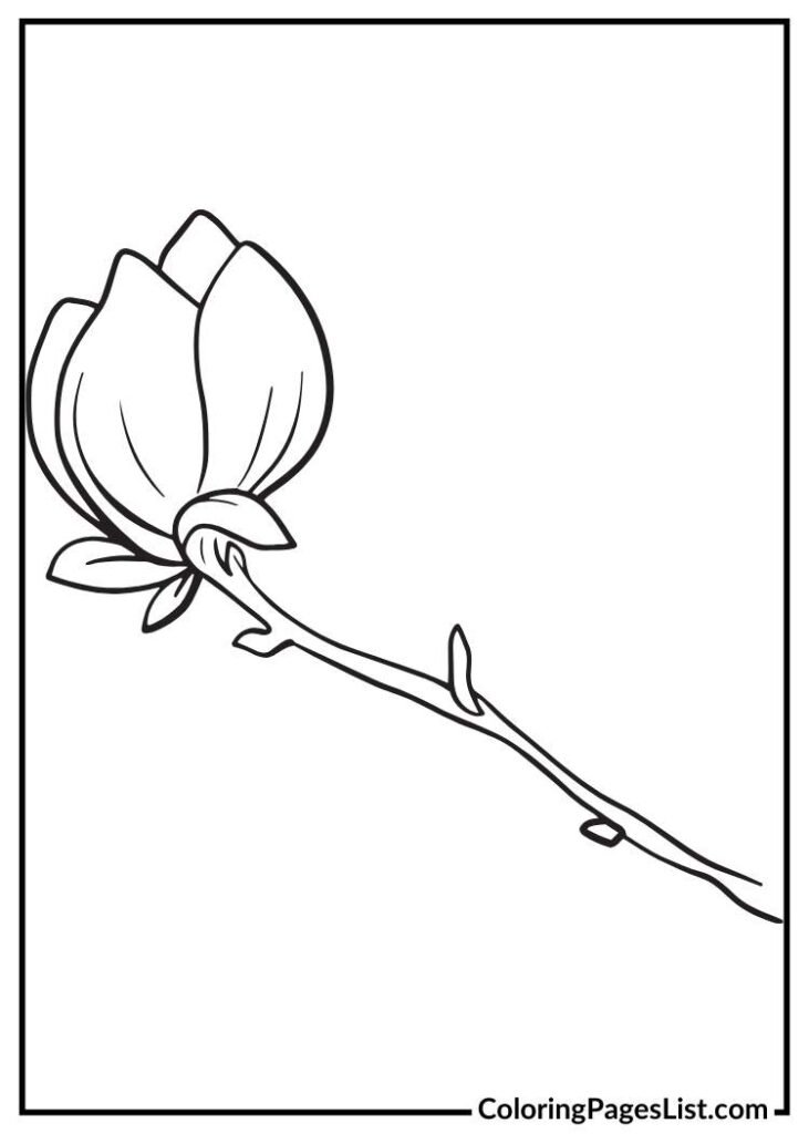 Beautiful Magnolia for kids to color sheet