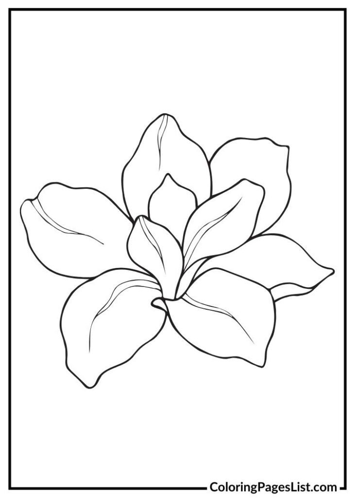 Unique Magnolia flower coloring page