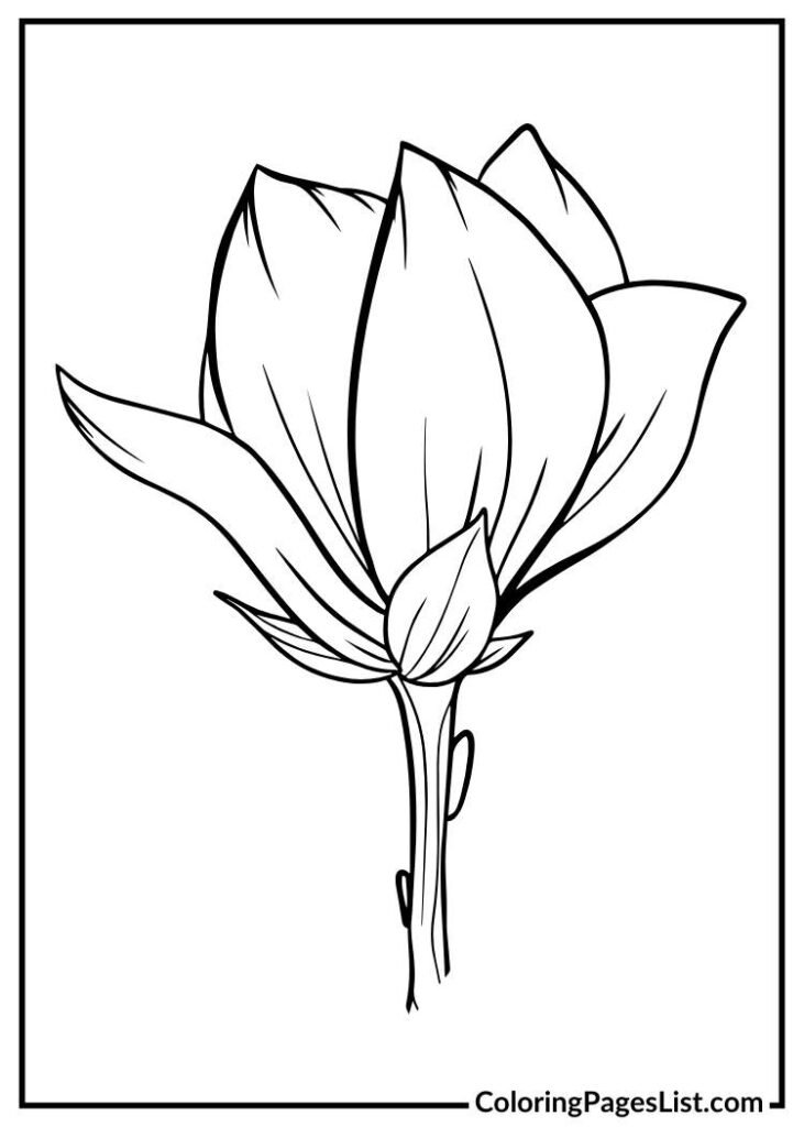 Magnolia coloring page printable