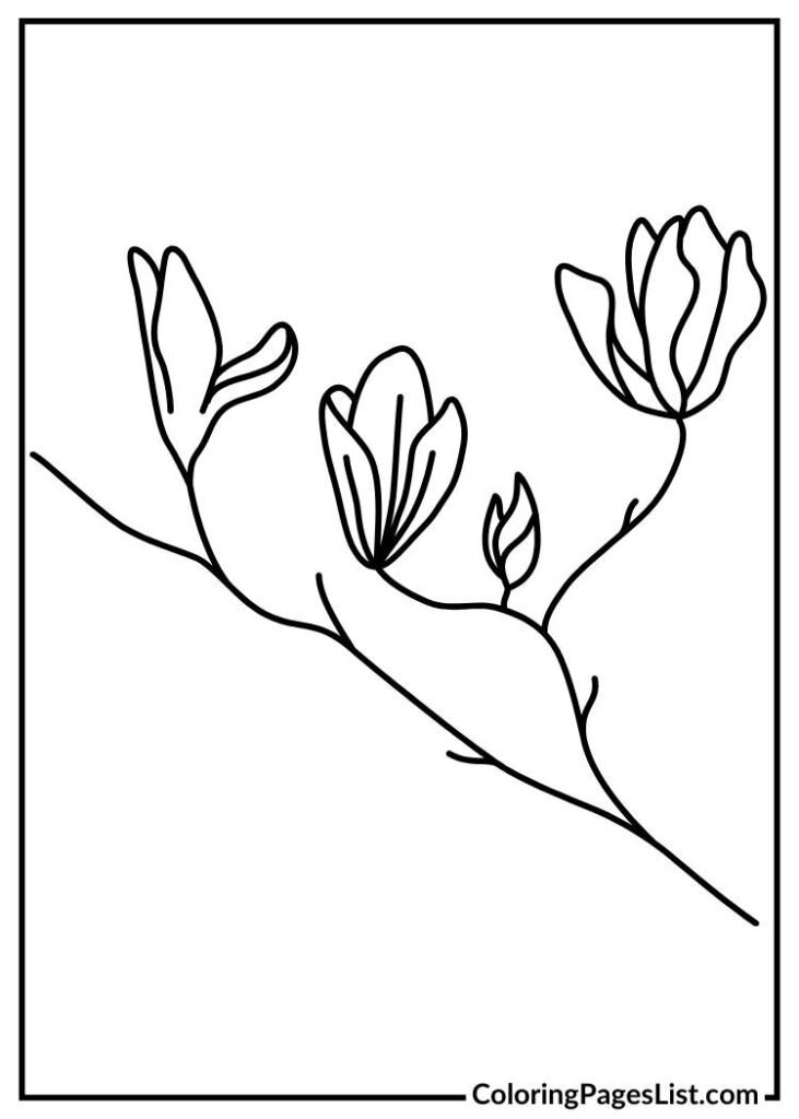 Charming Magnolia coloring picture