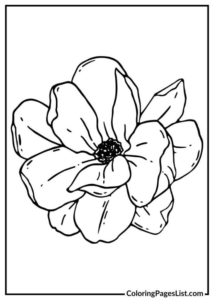 Free Printable Magnolia coloring page