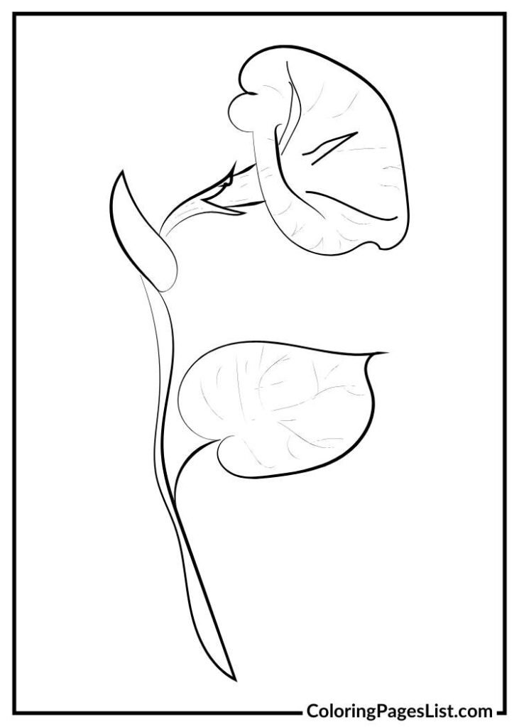 Morning flower coloring sheet