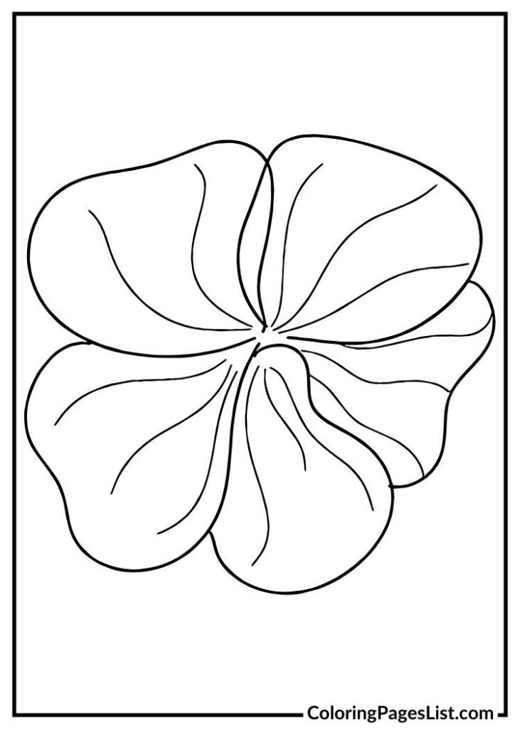 Two Glories flowers for coloring