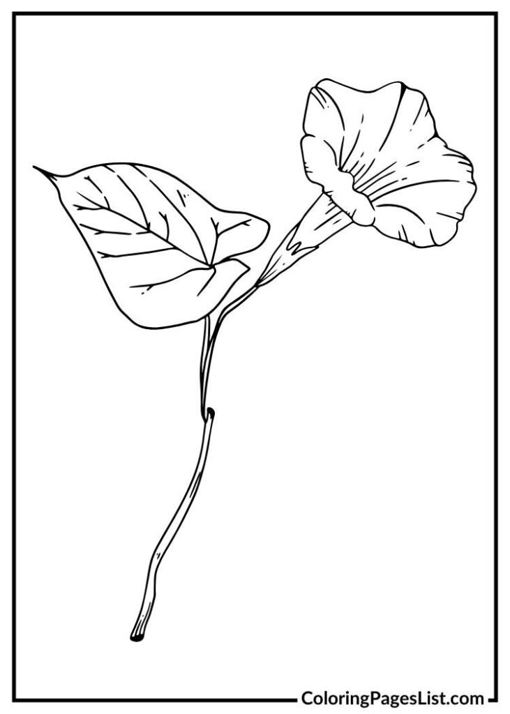 Unique flower coloring page