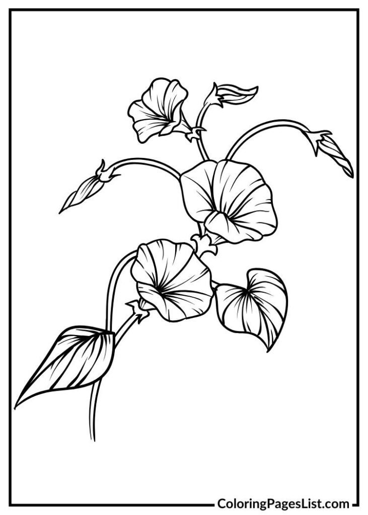 Charming Morning coloring picture