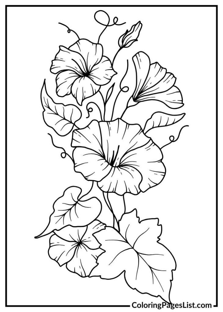 Beautiful Morning Glory coloring page for kids