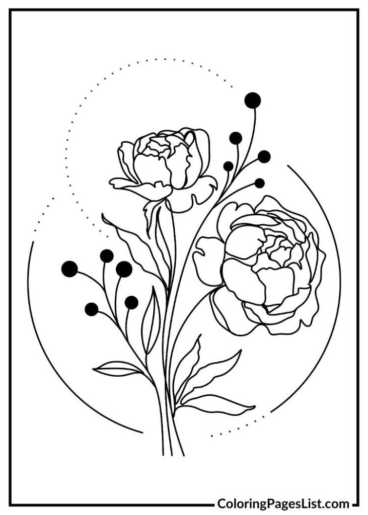 Peony Line Drawing