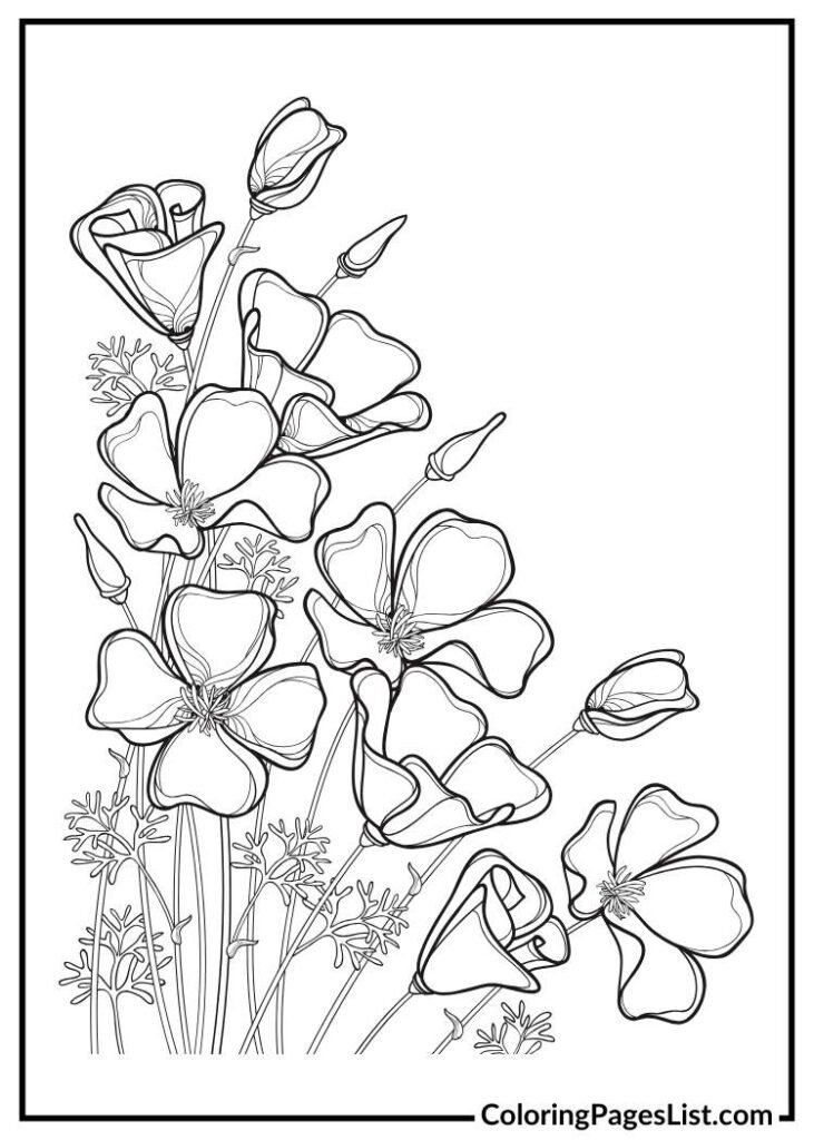 Poppy Flower Outline coloring page