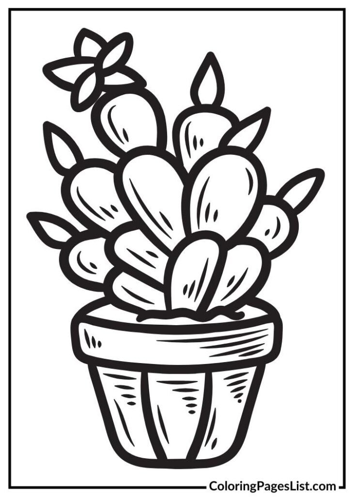 Rhipsalidopsis flower coloring page