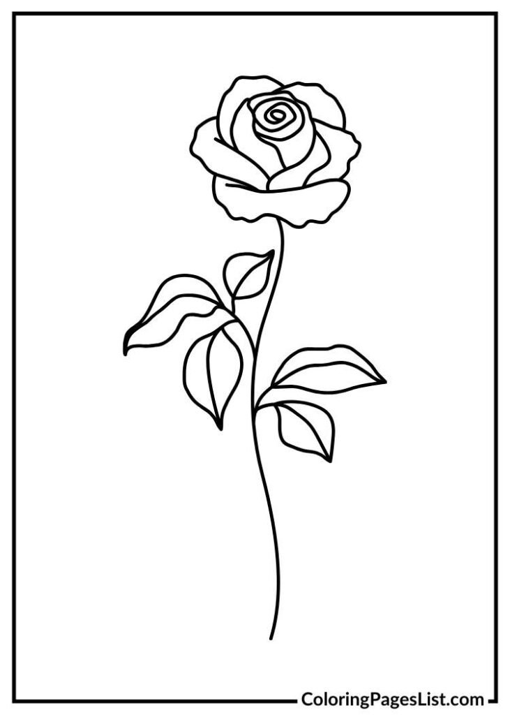 free Single rose flower