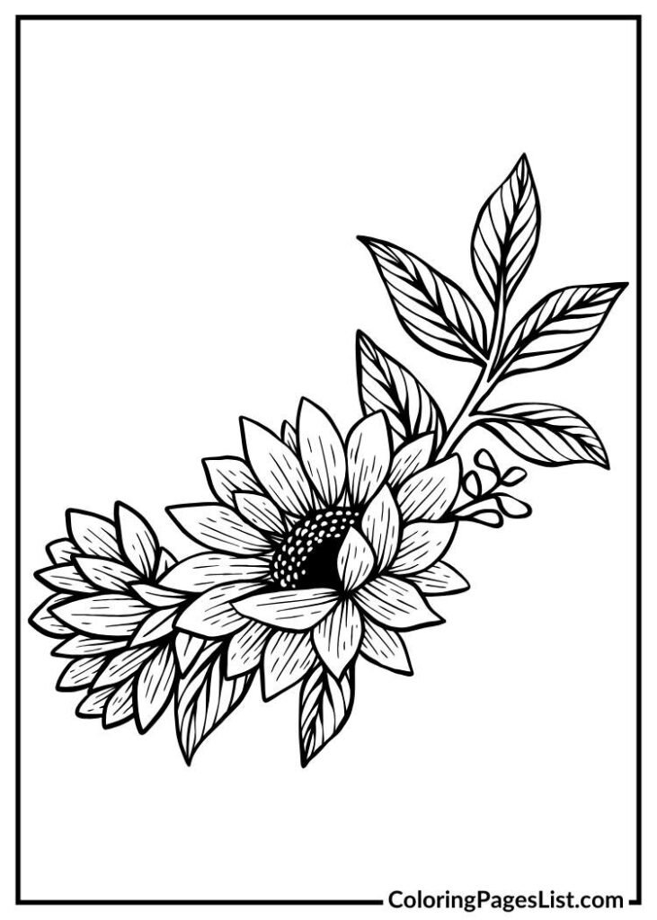 Sunflowers coloring page