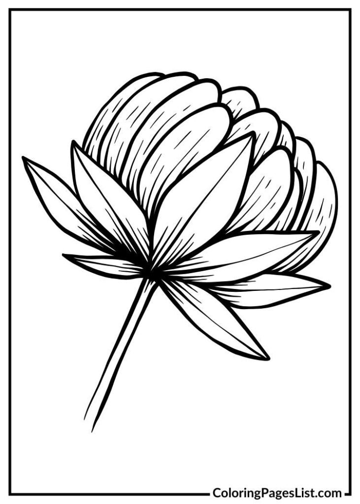 Sunflower coloring sheet for kids