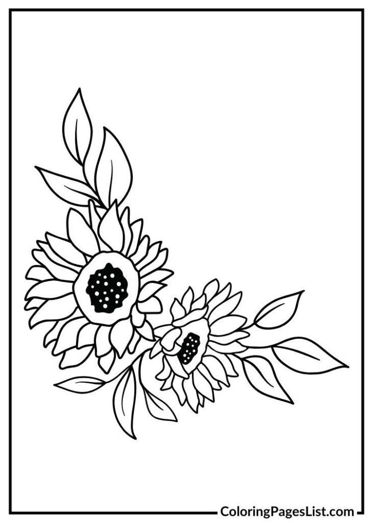 Two Sunflower flowers for coloring