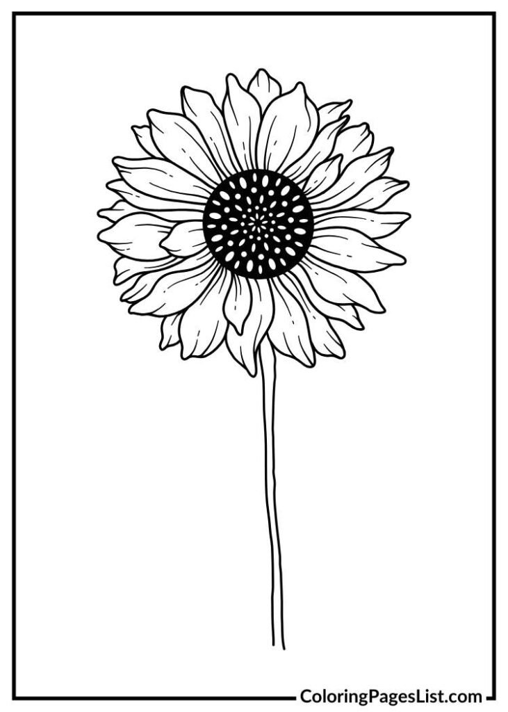 Beautiful Sunflower for kids to color sheet