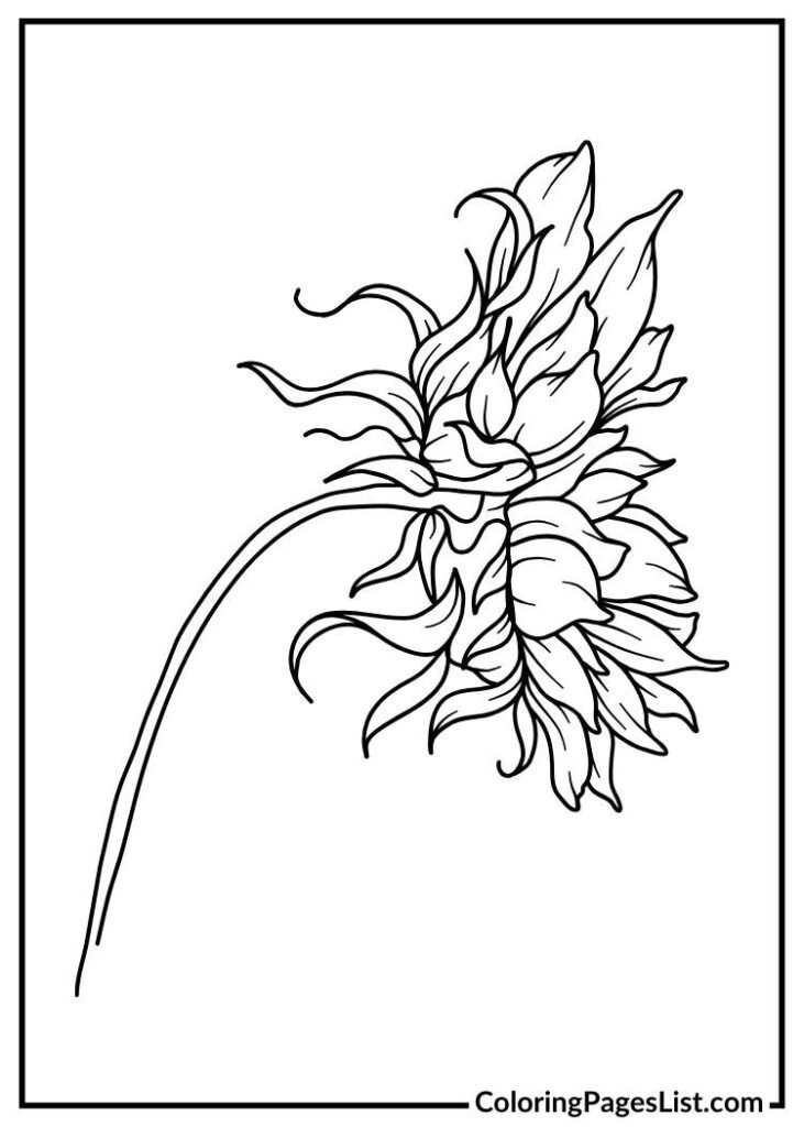 Hand drawn Sunflower coloring page