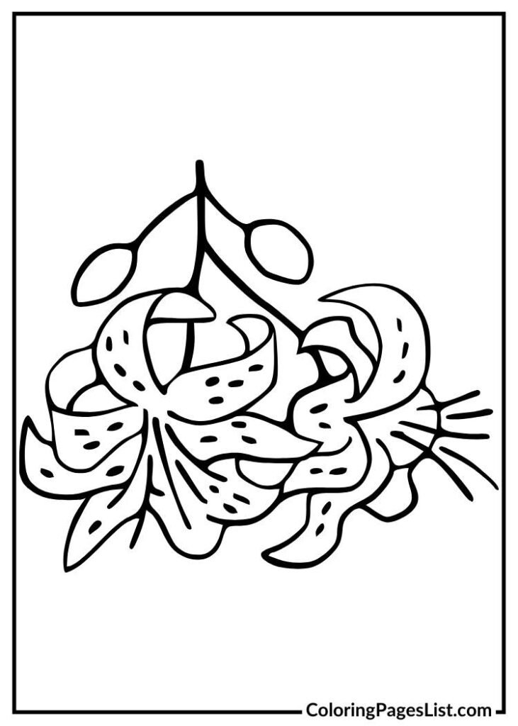 Tiger Lily coloring page