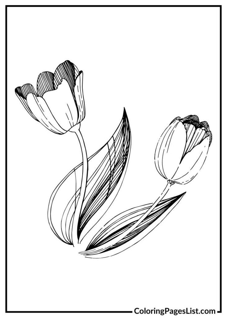 Beautiful tulip coloring page for kids