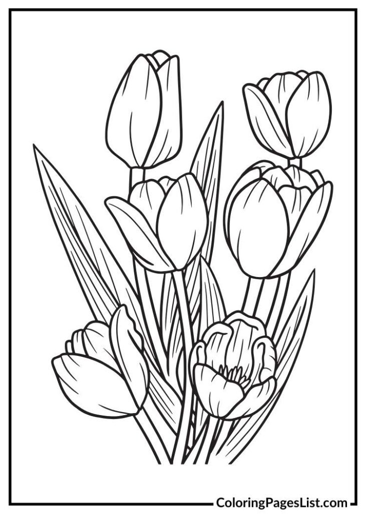 Tulips Flower Coloring Page for Adults