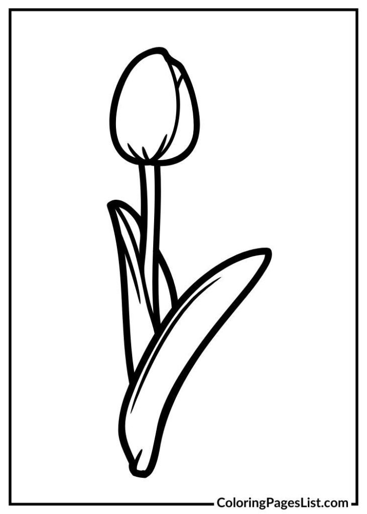 Beautiful Tulip flower for kids to color sheet