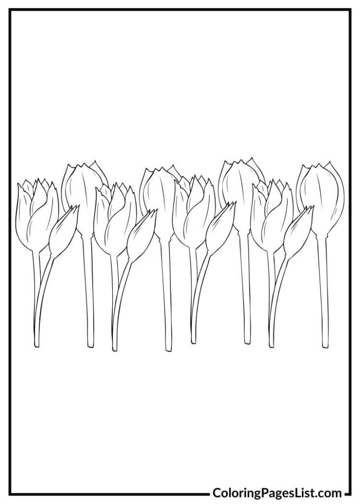 Tulip Illustration coloring page