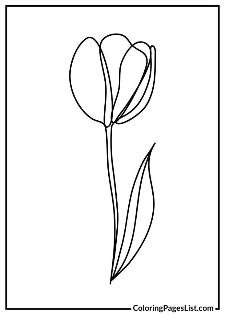 Tulip