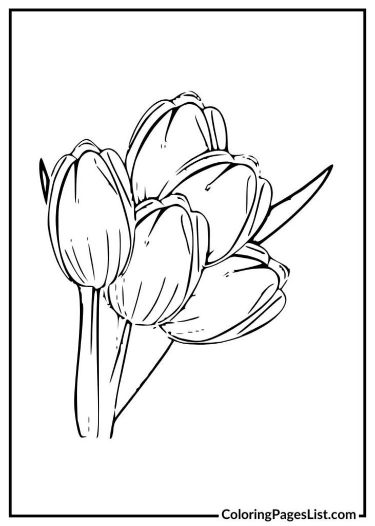 Unique Tulip flower coloring page