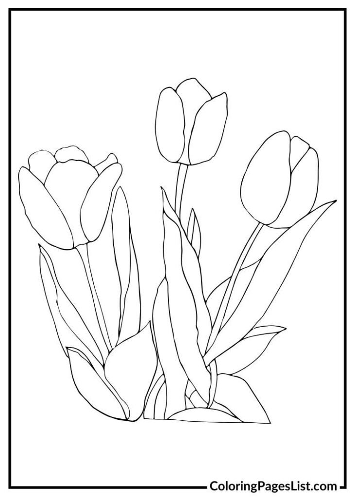 Tulip coloring page printable