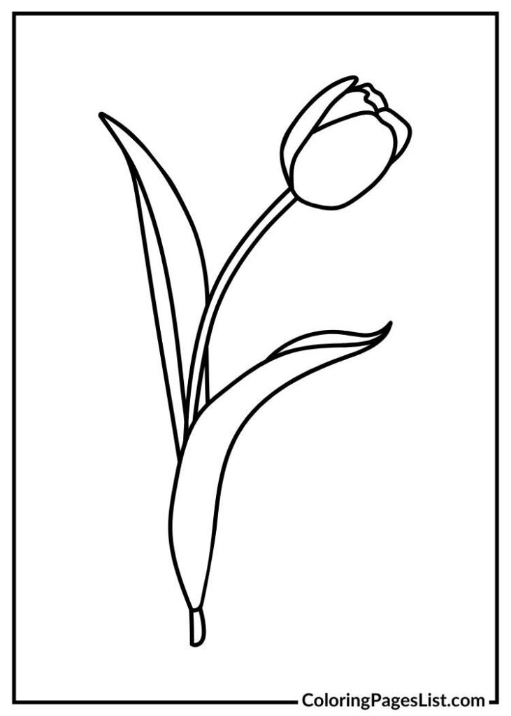 Free Printable tulip coloring page