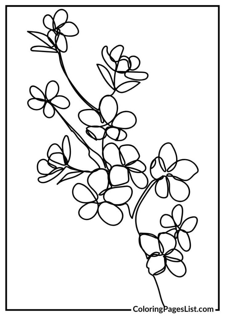 Cherry blossom coloring page