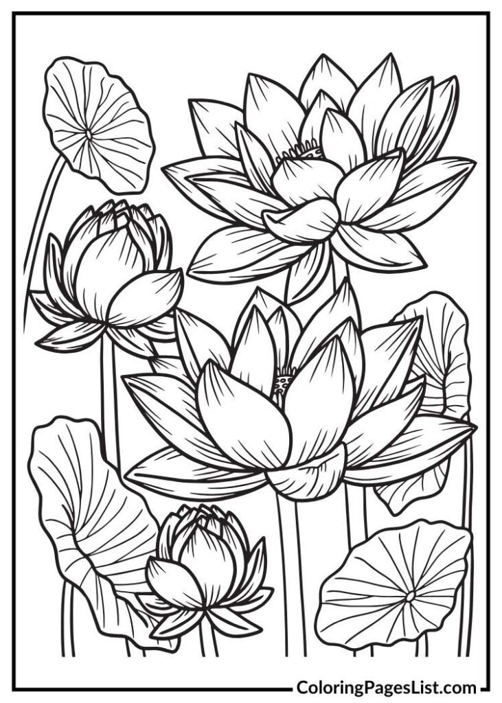 Lotus flower coloring page