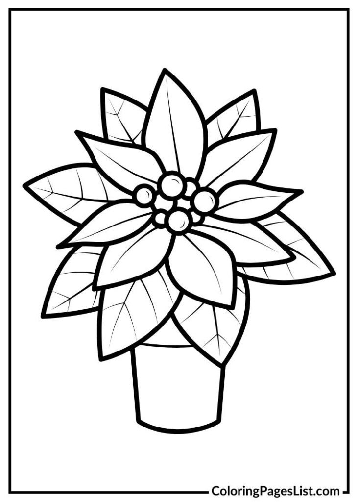 Poinsettia coloring page