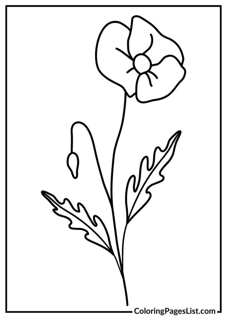 Poppy flower coloring page