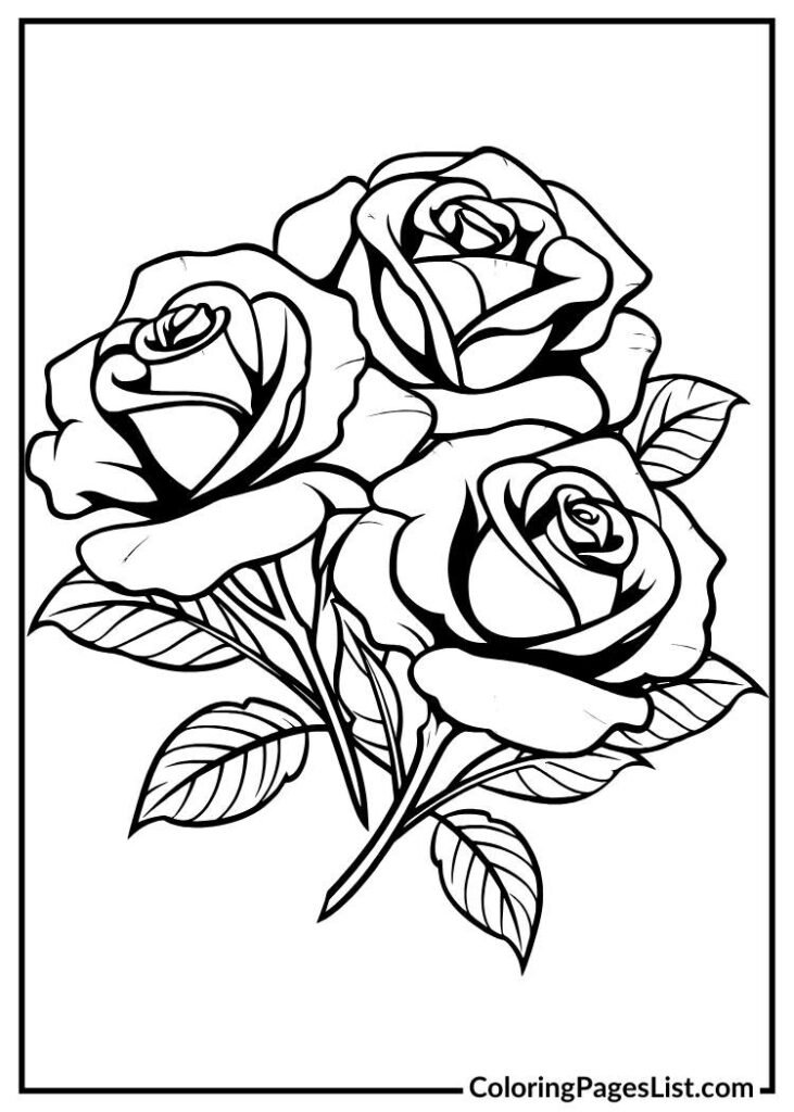 Rose coloring page