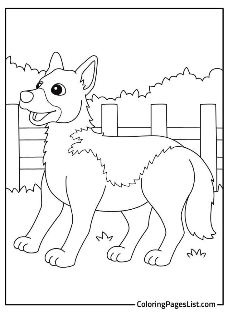 Outline Of Belgian Malinois Dog To Color