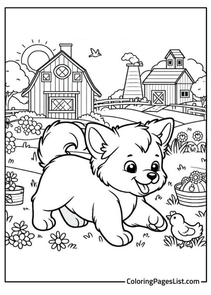 American Eskimo Dog To Color For Preschoolers