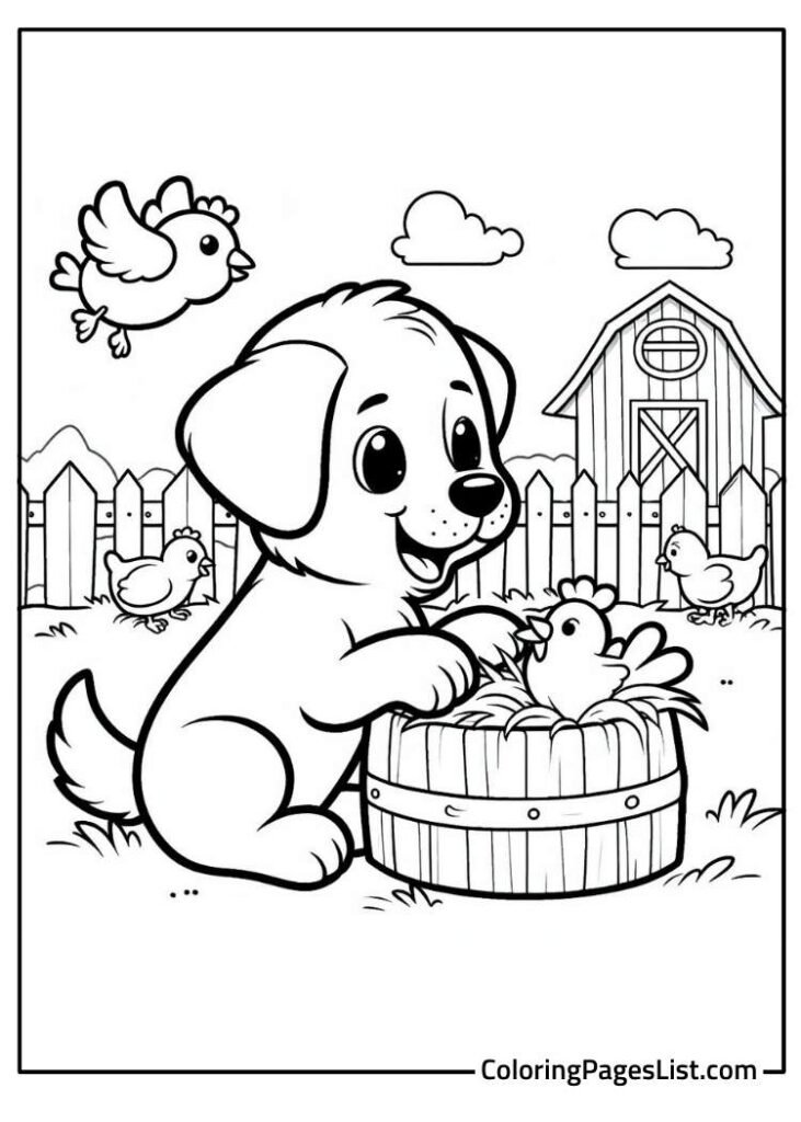 Smart good looking dog looking at the chicken coloring page