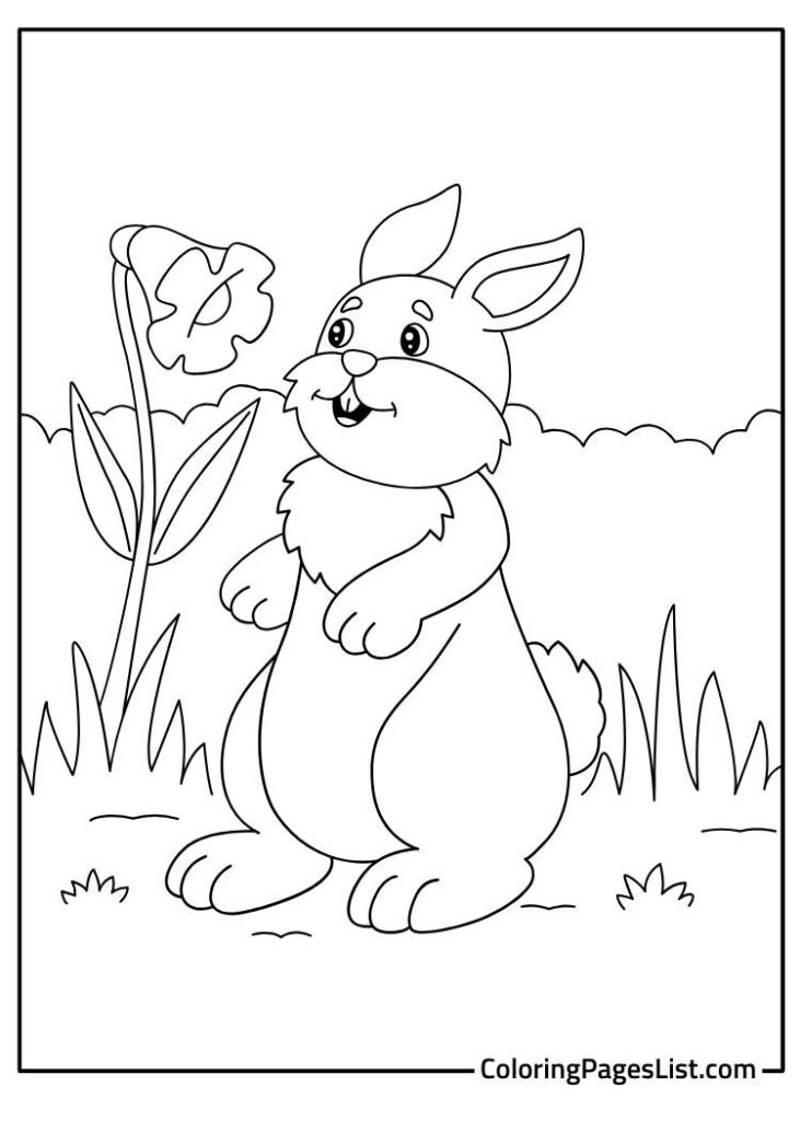 Baby Rabbit In The Wilderness looking at the flower coloring page