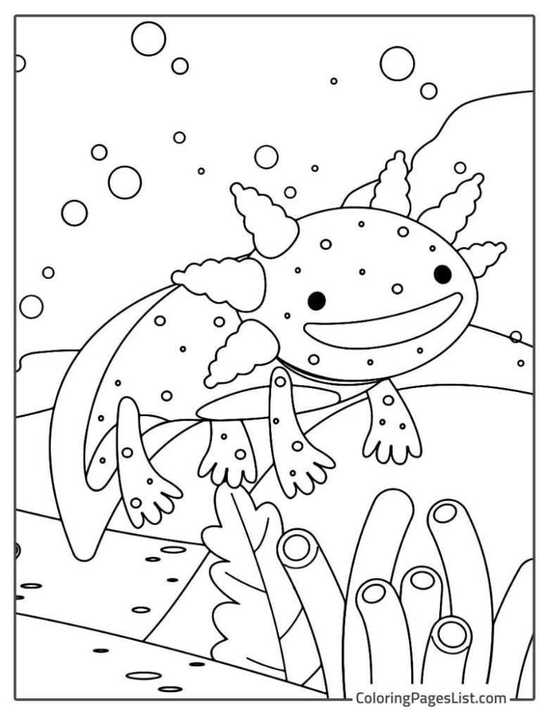 Axolotl Smiling And Swimming Over The Long Candle Grass To Color