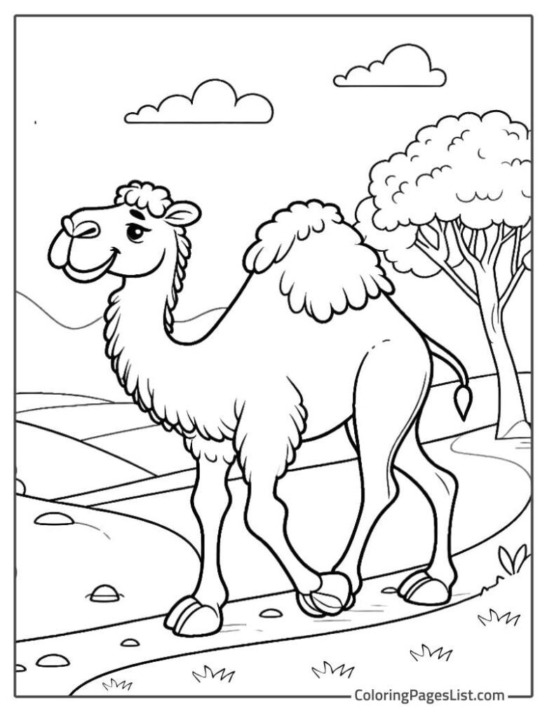 Camel Walking On The Path Coloring Page