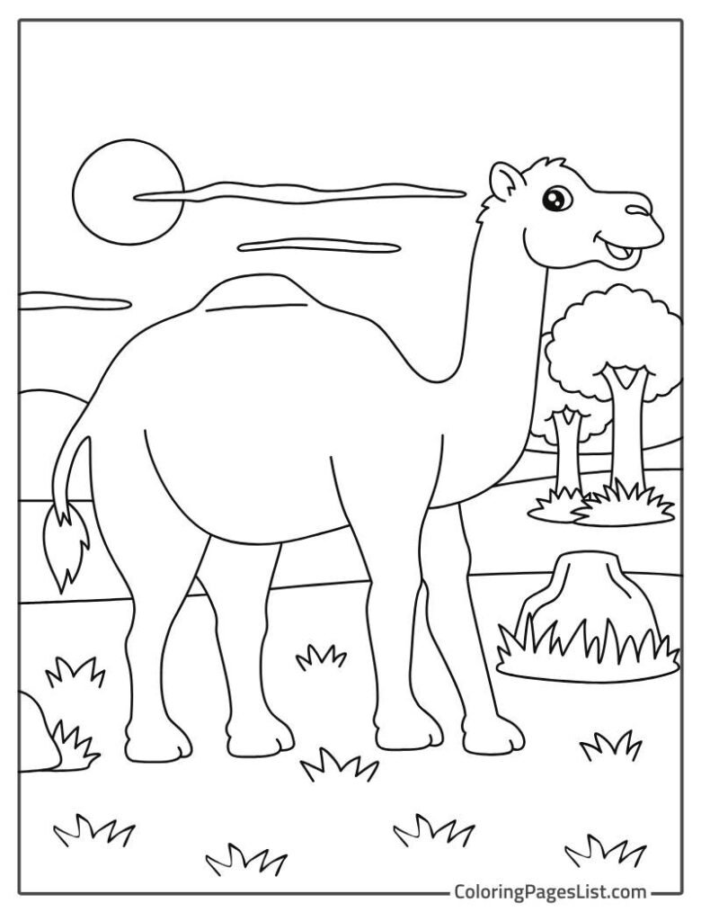 Camel Walking Outside And Smiling Coloring Page For Kids