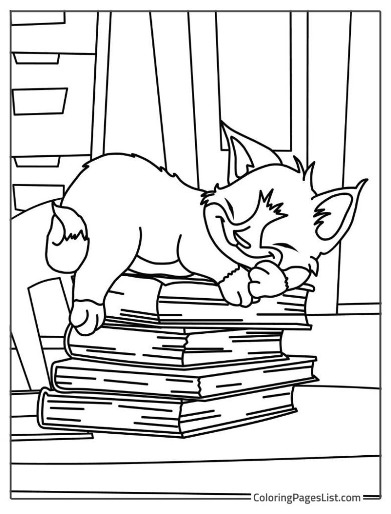 Cat Sleeping On The Books To Color In